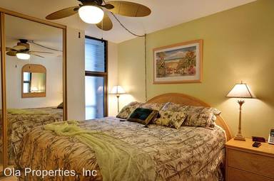 Main picture of The Hawaiian Princess