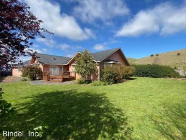 Main picture of 4398 Traci Way