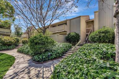 Main picture of 946 Kiely Blvd