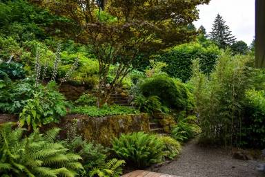 Main picture of 2920 SW Montgomery Dr