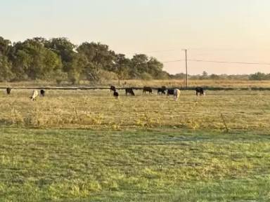 Main picture of 5264 SW County Road 1140