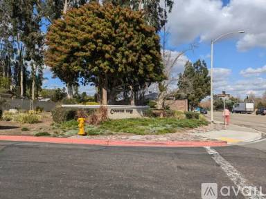 Main picture of 13354 Birch Tree Ln
