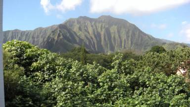 Main picture of 46-271 Kahuhipa St