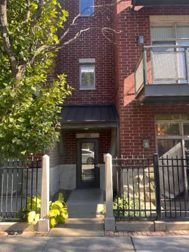 Main picture of 1351 S Halsted St