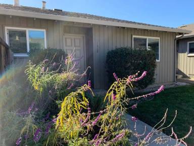 Main picture of 1319 Essex Way