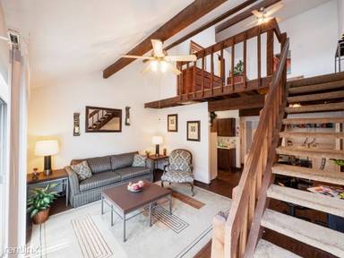 Main picture of Smoketree