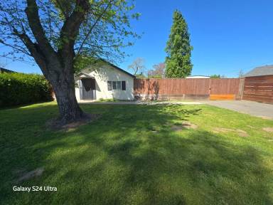 Main picture of 1645 Grimes Ave