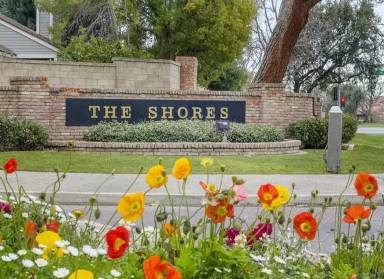 Main picture of The Shores