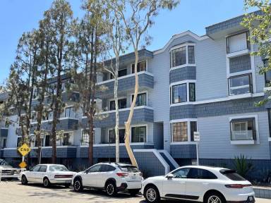 Main picture of 310 Tahiti Way