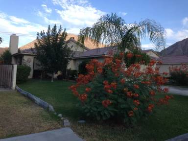 Main picture of 52800 Avenida Martinez