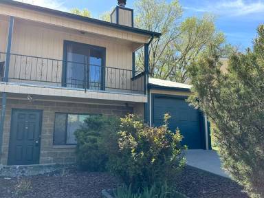 Main picture of 506 B Orchard Ave