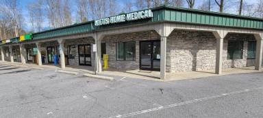 Main picture of 181 Rosman Hwy