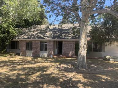 Main picture of 311 Del Mar Ct