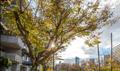 Main picture of 1718 Melrose Ave