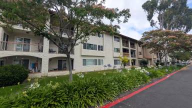 Main picture of Mission Plaza Complex