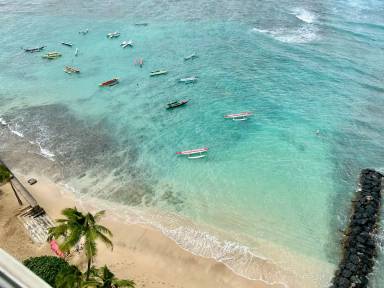 Main picture of Colony Surf