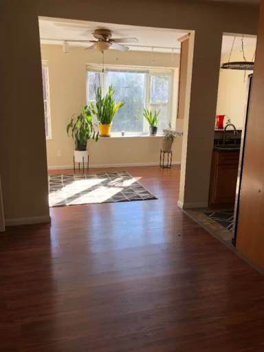 Main picture of 1315 Park Rd NW