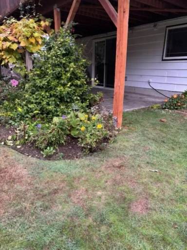 Main picture of 415 N 179th Pl