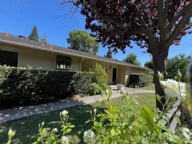 Main picture of 260 Santa Monica Ave