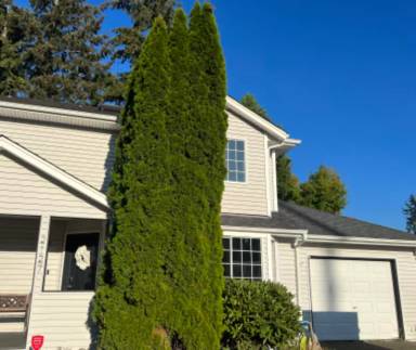 Main picture of 2127 Bridgeport Way W