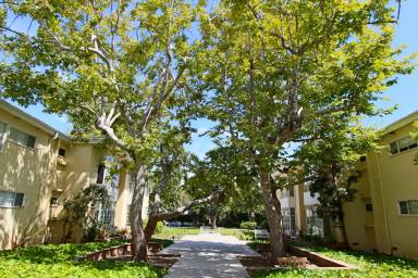 Main picture of 451 San Vicente Blvd