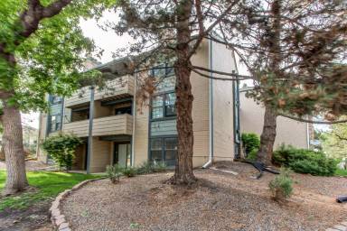 Main picture of 16255 E Alaska Pl