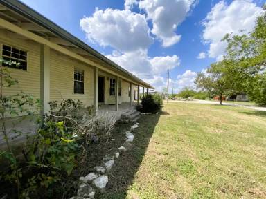Main picture of 143 Jasmine Ln