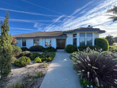Main picture of 590 Calle Cielo