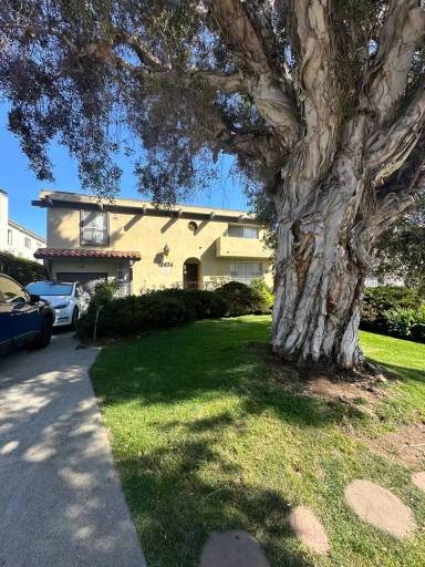 Main picture of 10974 Rose Ave