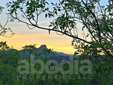 Main picture of 121 E. Whipple Ext. - D