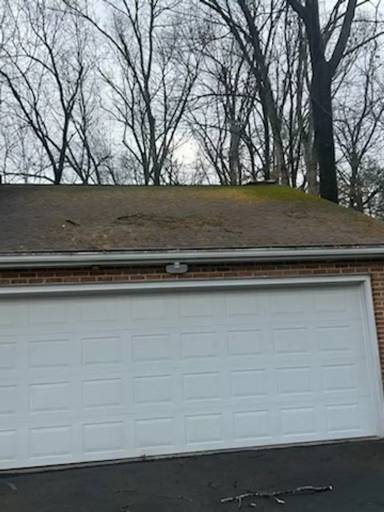 Main picture of 631 Wayland Pl