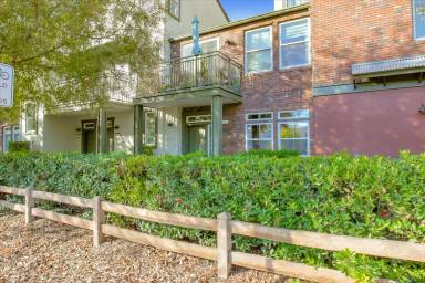 Main picture of 305 Bautista Pl