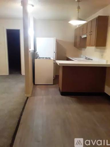 Main picture of 217 E Denver St