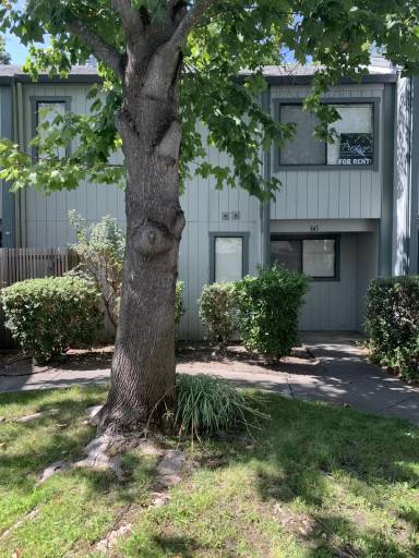 Main picture of 351 Occidental Cir