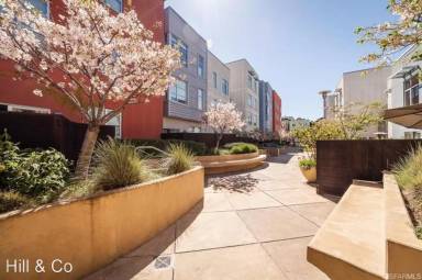 Main picture of The Potrero