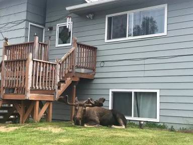 Main picture of 3782 W 84th Ave