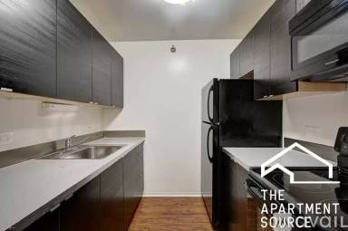 Main picture of 1111 N Dearborn Apartments