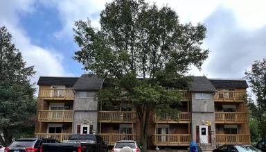 Main picture of 557 Ashland Ave