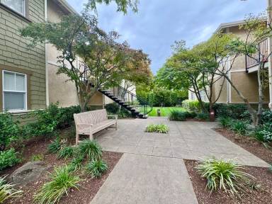 Main picture of 1195 La Homa Dr