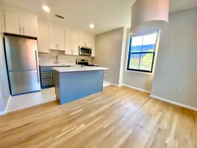 Main picture of 151 W Brookline St