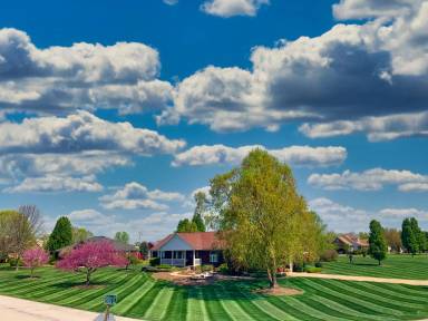 Main picture of 120 Oshara Ct