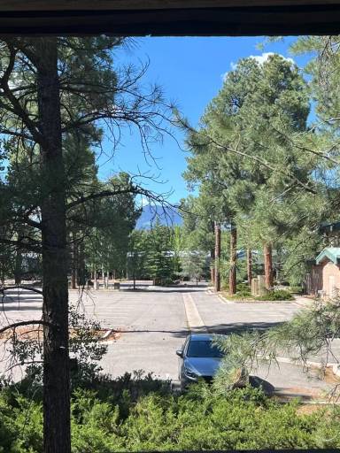 Main picture of Biltmore Pines