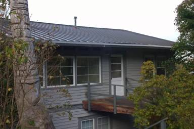 Main picture of 709 N Forest St