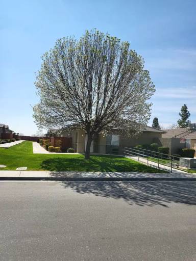 Main picture of 717 Meadow Grove Ct