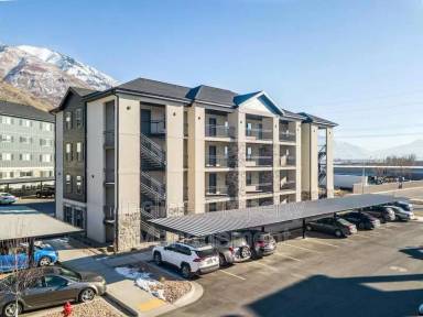 Main picture of Seth Spring