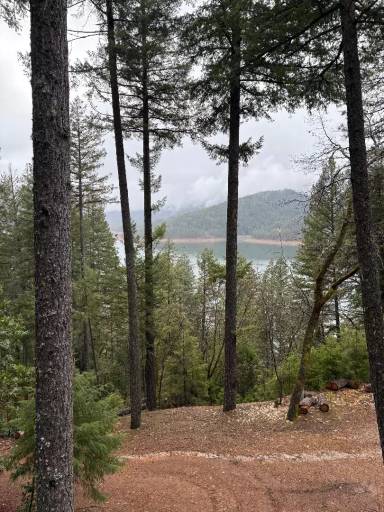 Main picture of 480 Rattlesnake Way