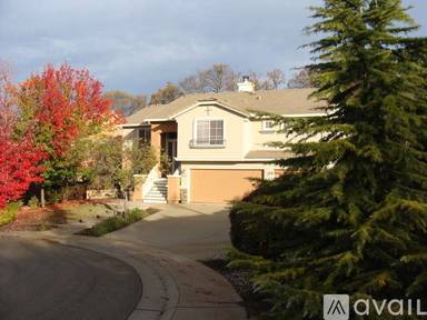 Main picture of 117 Purple Martin Ct