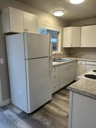 Main picture of REDWO3437 - 16