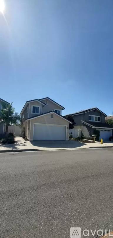 Main picture of 12 Hazelnut