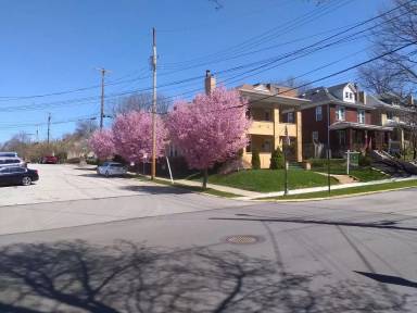 Main picture of 359 Washington Ave